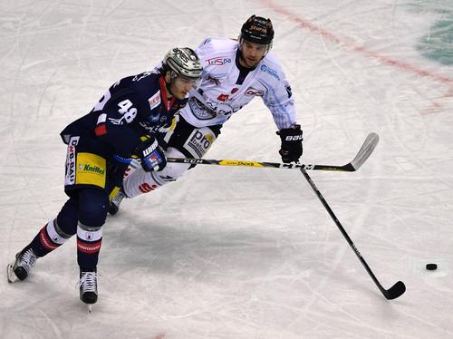 Straubing Tigers trennen sich von Nikolaus Hartl (r.)