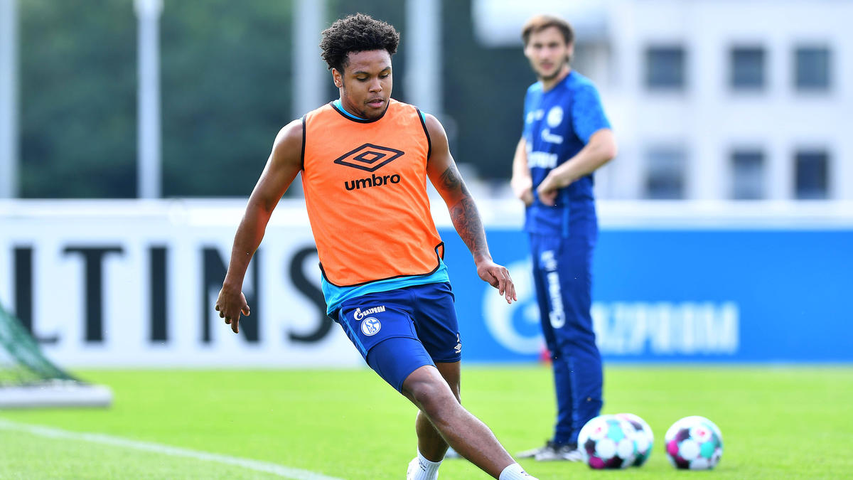 Irá Weston McKennie passar do FC Schalke 04 para o Hertha BSC?