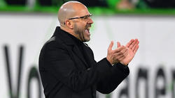 Peter Bosz stellt dem BVB im Fernduell mit dem FC Bayern Hilfe in Aussicht