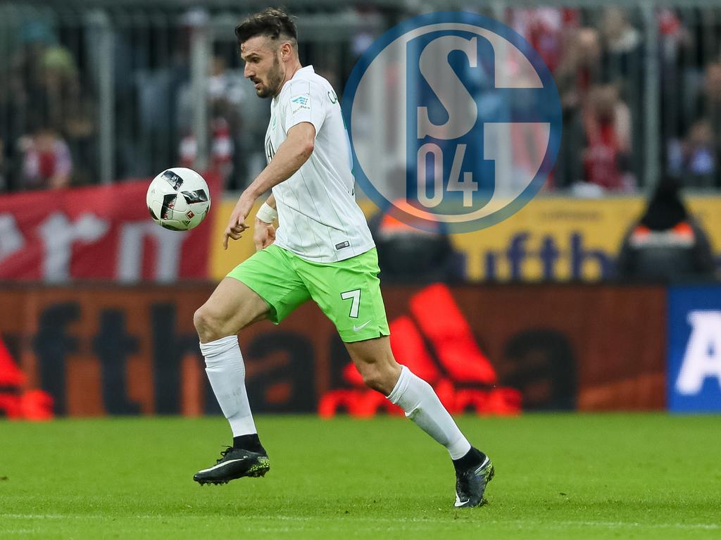 Wolfsburgs Daniel Caligiuri soll wohl zum FC Schalke 04 wechseln