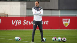 Mit dem VfB Stuttgart beim FC Schalke zu Gast: Pellegrino Matarazzo