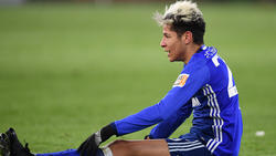 Amine Harit ist zurück in Gelsenkirchen