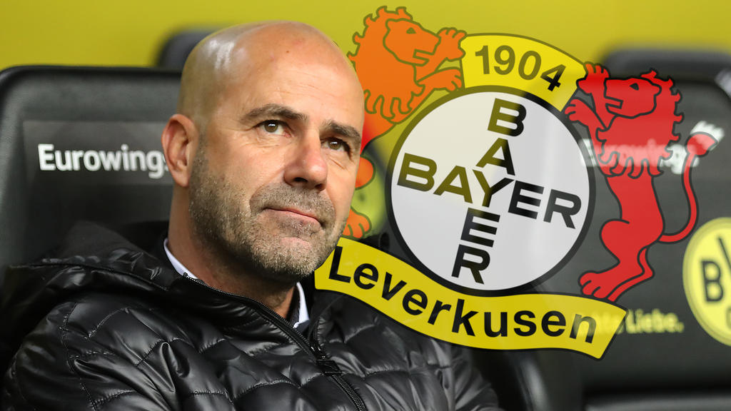 Peter Bosz steht angeblich vor eine Engagement bei Bayer Leverkusen
