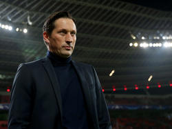 Roger Schmidt wird nicht niederländischer Nationaltrainer