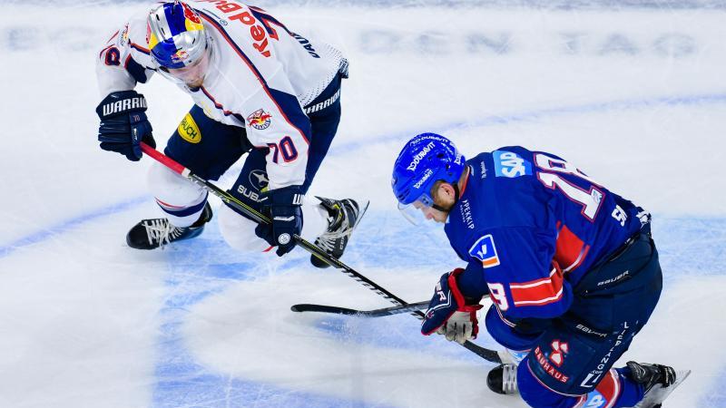 In der DEL gelten die Adler Mannheim und der EHC München als Favoriten In der DEL gelten die Adler Mannheim und der EHC München als Favoriten