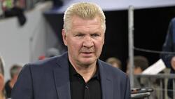 Stefan Effenberg hat sich den BVB vorgenommen