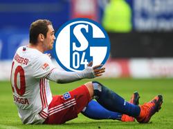Wechselt Pierre-Michel Lasogga nach Schalke?