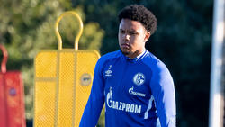 Weston McKennie könnte dem FC Schalke 04 schon bald wieder zur Verfügung stehen