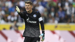 Zieht es Alexander Nübel vom FC Schalke 04 zum FC Bayern?