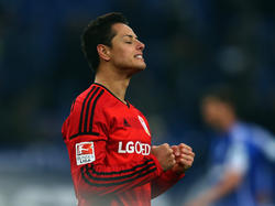 Javier Hernández wird bei der Copa América Centenario für Mexiko spielen