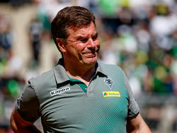 Dieter Hecking hat bei Borussia Mönchengladbach nur noch Vertrag bis 2019