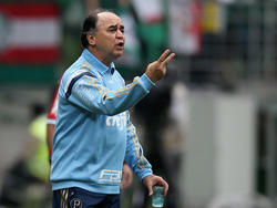 Marcelo Oliveira es el técnico de Palmeiras. (Foto: Getty)