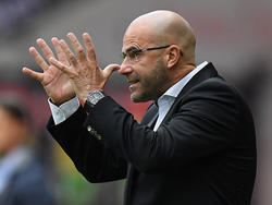 Peter Bosz erwartet einen Sieg von seinem Team