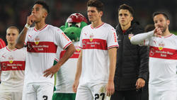 VfB Stuttgart in der Fußball-Bundesliga im freien Fall