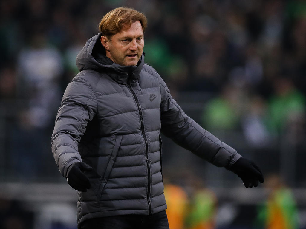 Ralph Hasenhüttl glaubt nicht an ein CL-Verbot für RB Leipzig