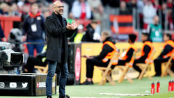 Peter Bosz ist mit Bayer Leverkusen in der Erfolgsspur