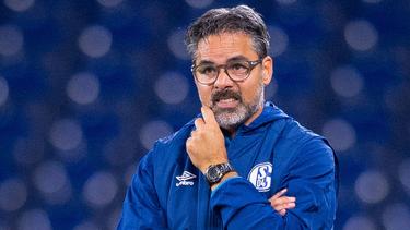 David Wagner, Ex-Coach des FC Schalke 04, soll neuer Trainer in Norwich werden