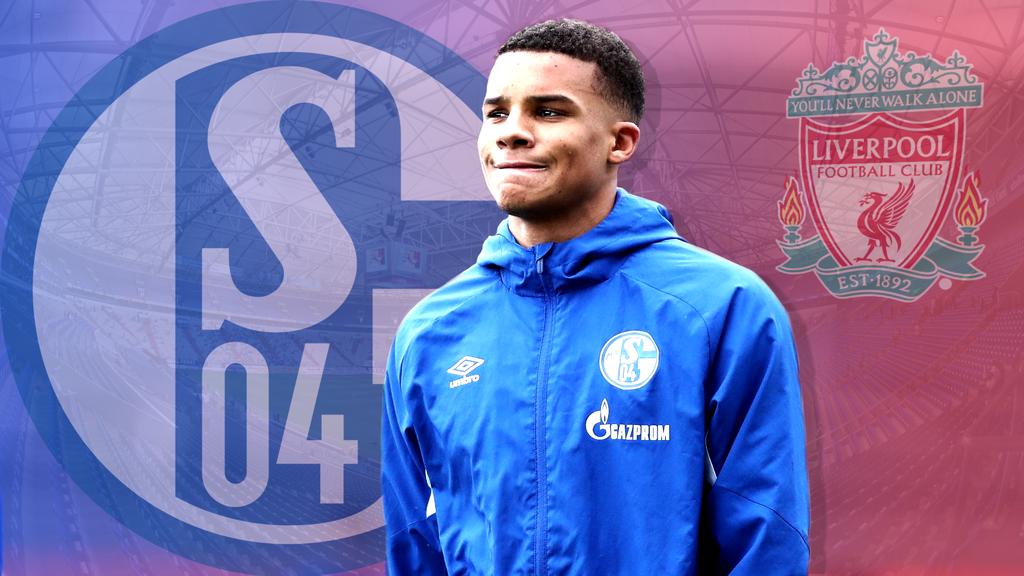 Wird vom FC Liverpool umworben: Schalke-Talent Malick Thiaw