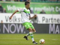 Schalke 04 ist offenbar an Luiz Gustavo interessiert
