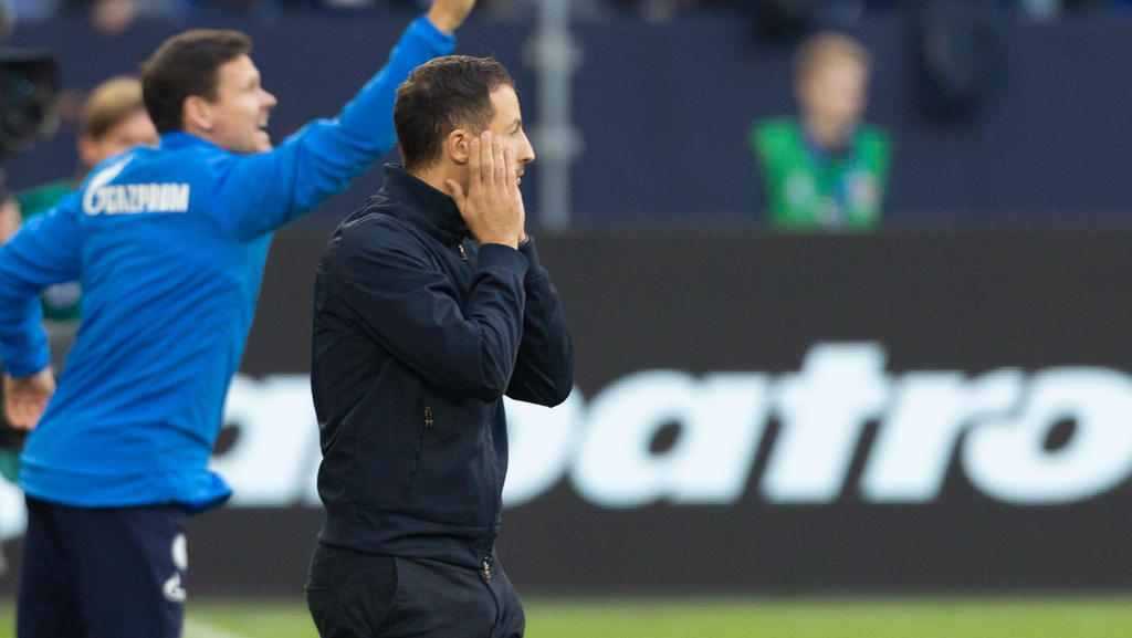 Domenico Tedesco und der FC Schalke stehen vor richtungsweisenden Partien