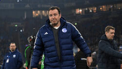 Marc Wilmots ist Sportdirektor beim FC Schalke 04