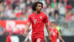 Joshua Zirkzee hat beim FC Bayern verlängert