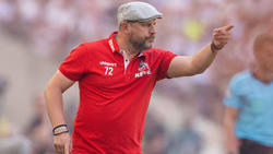 Steffen Baumgart führte den 1. FC Köln nach Europa