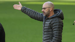 Peter Bosz braucht ein Erfolgserlebnis mit Bayer Leverkusen