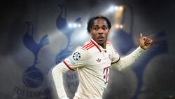 Der FC Bayern wird Mathys Tel in die Premier League verleihen