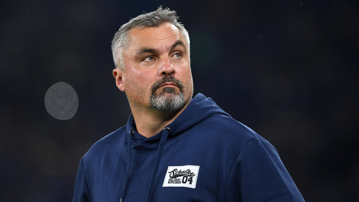 Thomas Reis äußerte sich zum FC Schalke 04