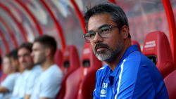 David Wagner ist erst seit Anfang Juli Trainer des FC Schalke 04