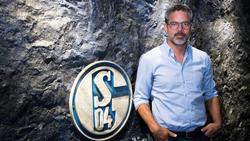 David Wagner hinterfragt die 50+1-Regel