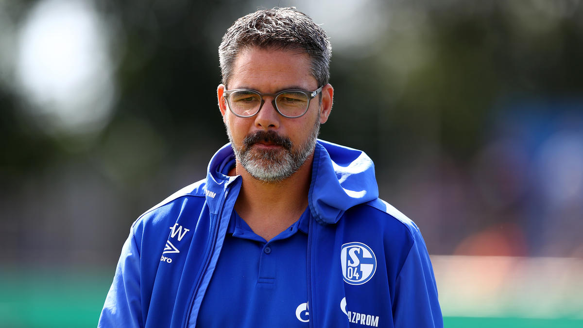 David Wagner steht beim FC Schalke 04 vor einer großen Herausforderung David Wagner steht beim FC Schalke 04 vor einer großen Herausforderung