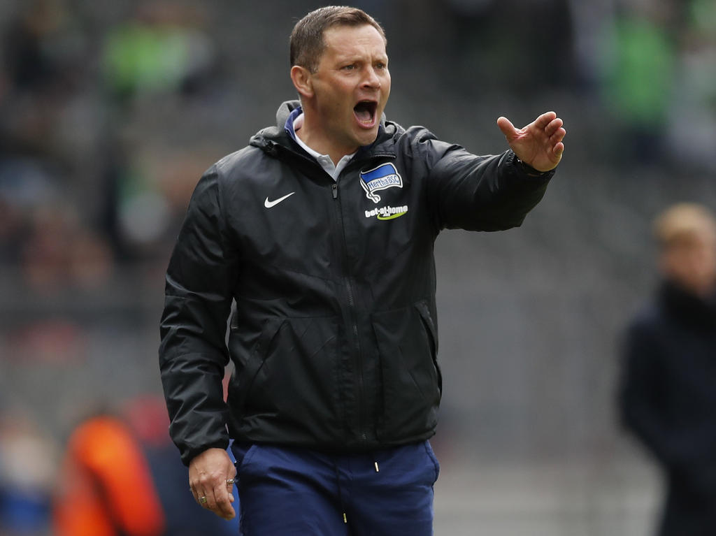 Keine Lust auf Jammerstimmung: Hertha-Coach Pál Dárdai