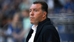 Marc Wilmots ist als Sportdirektor beim FC Schalke schon wieder Geschichte