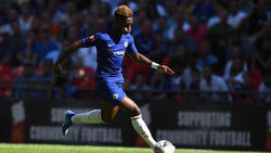 Callum Hudson-Odoi steht beim FC Bayern offenbar auf dem Zettel