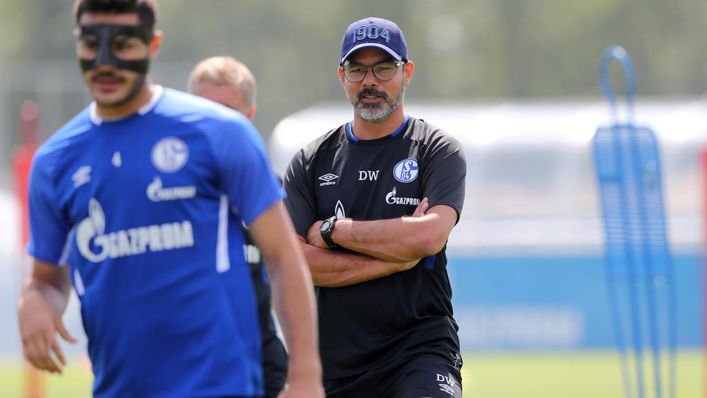 David Wagner hat in Transfer-Fragen bei Schalke nur ein Drittel zu sagen