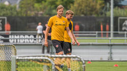 Marco Hartmann verlässt Dynamo Dresden