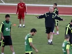Spaniens Nationaltrainer Vicente del Bosque will nach der EM Schluss machen
