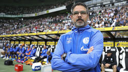 Fühlt sich wohl beim FC Schalke 04: Coach David Wagner