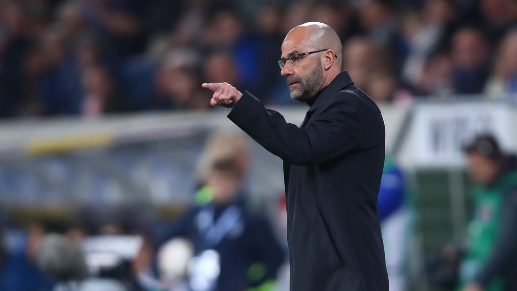 Peter Bosz will Bayer Leverkusen erneut in die Champions League führen Peter Bosz will Bayer Leverkusen erneut in die Champions League führen