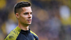 Julian Weigl scheint sich einen Stammplatz beim BVB erkämpft zu haben