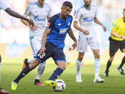 Kerem Demirbay (m.) kann gegen Köln nicht mitwirken