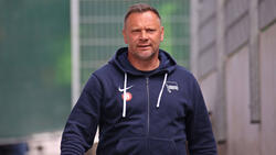 Pal Dardai ist ab dem Sommer kein Cheftrainer mehr bei Hertha BSC