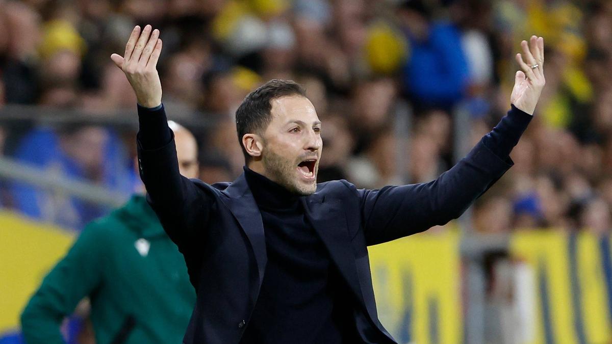 Domenico Tedesco gewinnt mit Belgien in Schweden