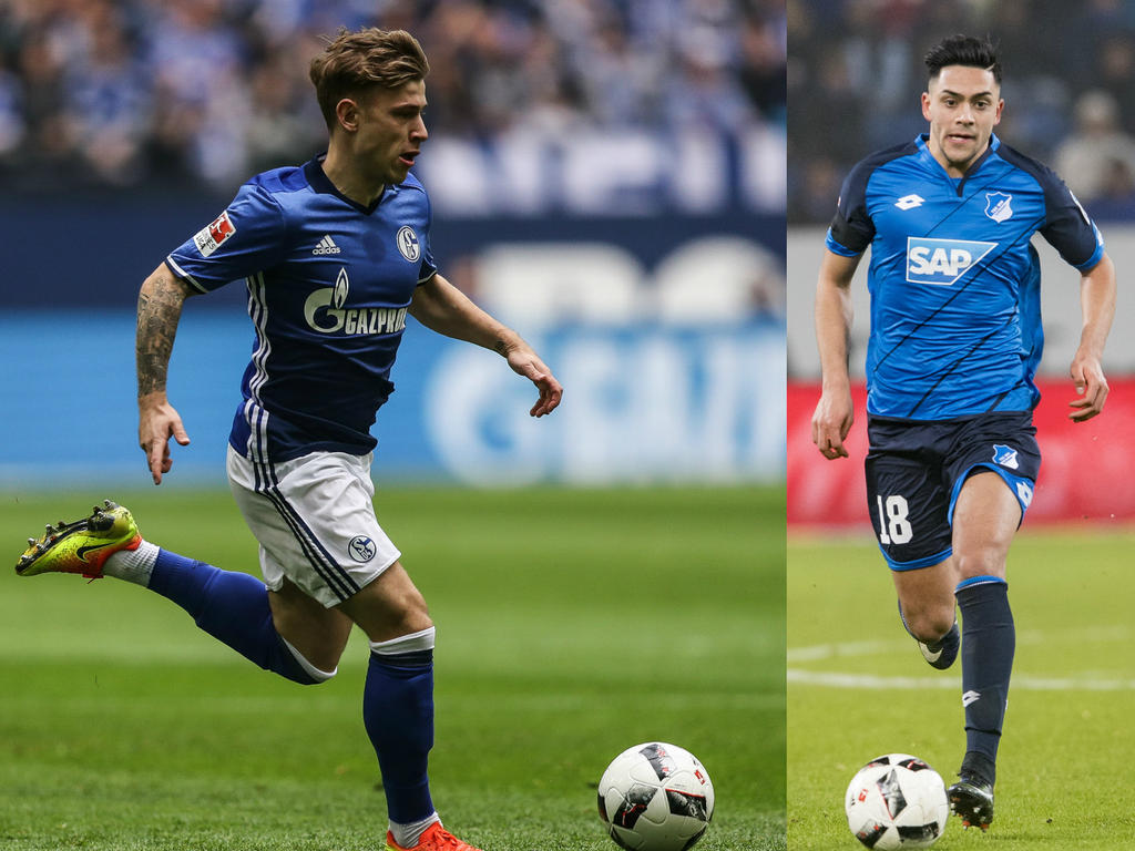Meyer (li.) ist bei Hoffenheim im Gespräch, Amiri vor dem Absprung Meyer (li.) ist bei Hoffenheim im Gespräch, Amiri vor dem Absprung