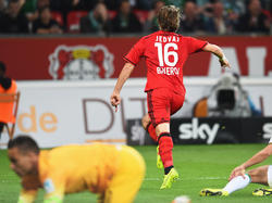 Tin Jedvaj erobert die Bundesliga im Sturm