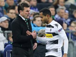 Borussia-Coach Dieter Hecking hofft auf Raffael