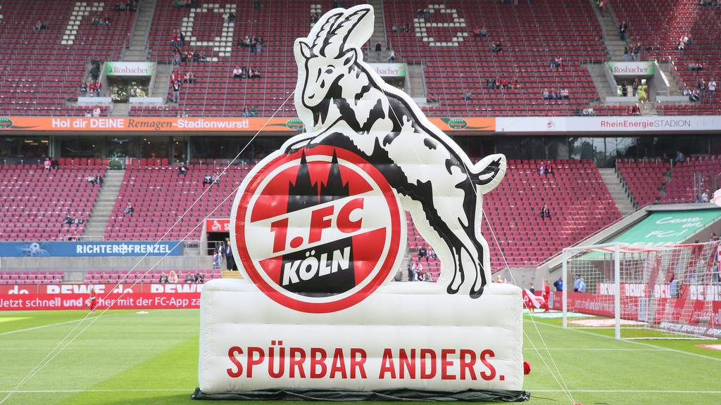 Der 1. FC Köln informierte auf seiner Mitgliederversammlung