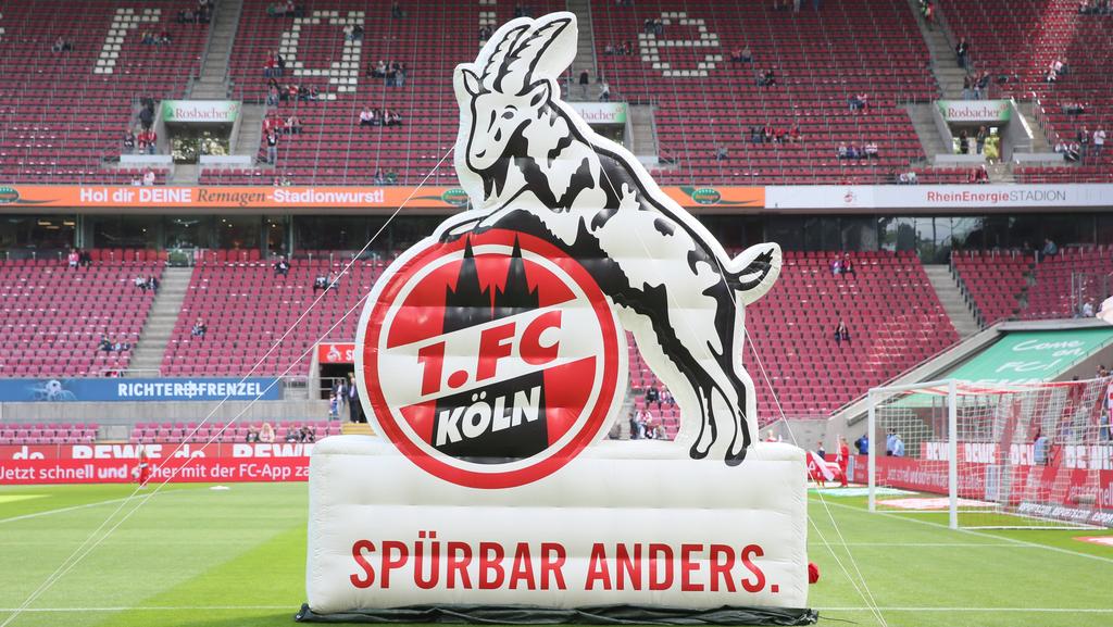 Platz 7: 1. FC Köln | Interesse: 26,9 Prozent